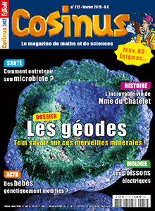 Les géodes, tout savoir sur ces merveilles minérales !