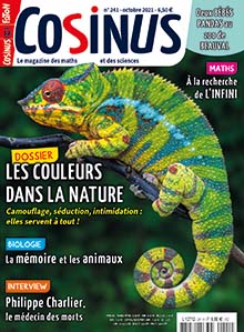 Les couleurs dans la nature